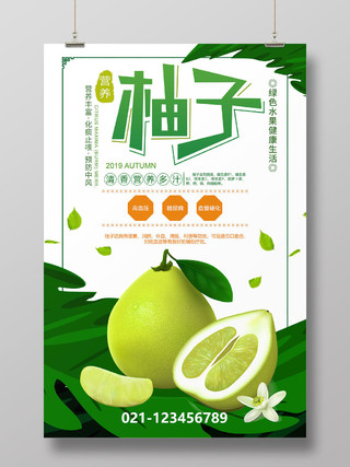 清新绿色水果柚子新鲜营养宣传海报
